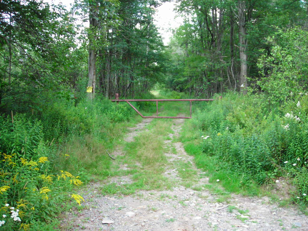 [Image: town1.JPG]